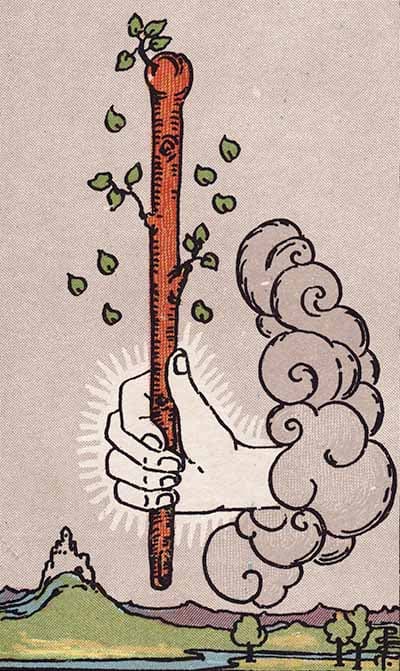 Ace of Wands
